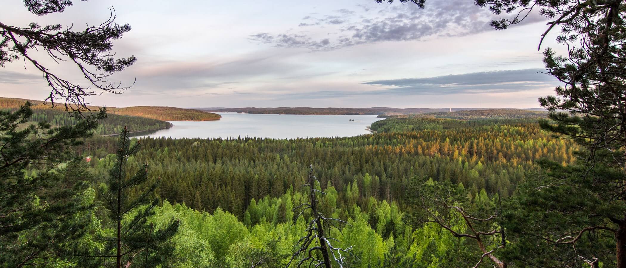 Jyväskylä - natuur - Finland - Christoffel Travel