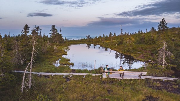 Riisitunturi National Park - Finland - zomer - Christoffel Travel