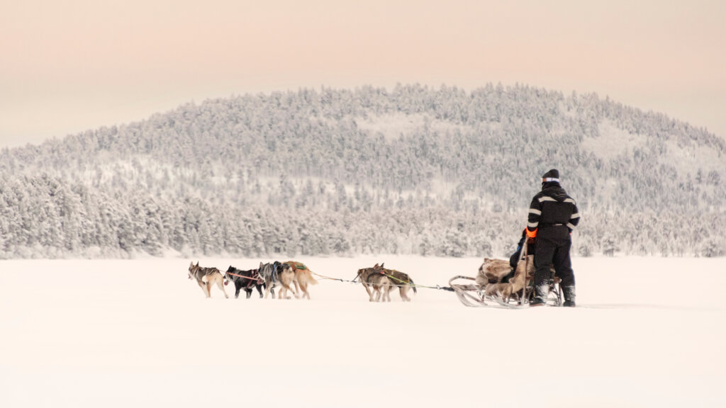 Huskysafari - Inari - Fins Lapland - Christoffel Travel