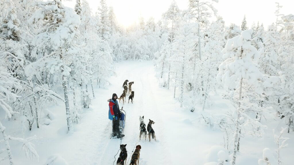 Huskytocht - Zweeds Lapland - Christoffel Travel