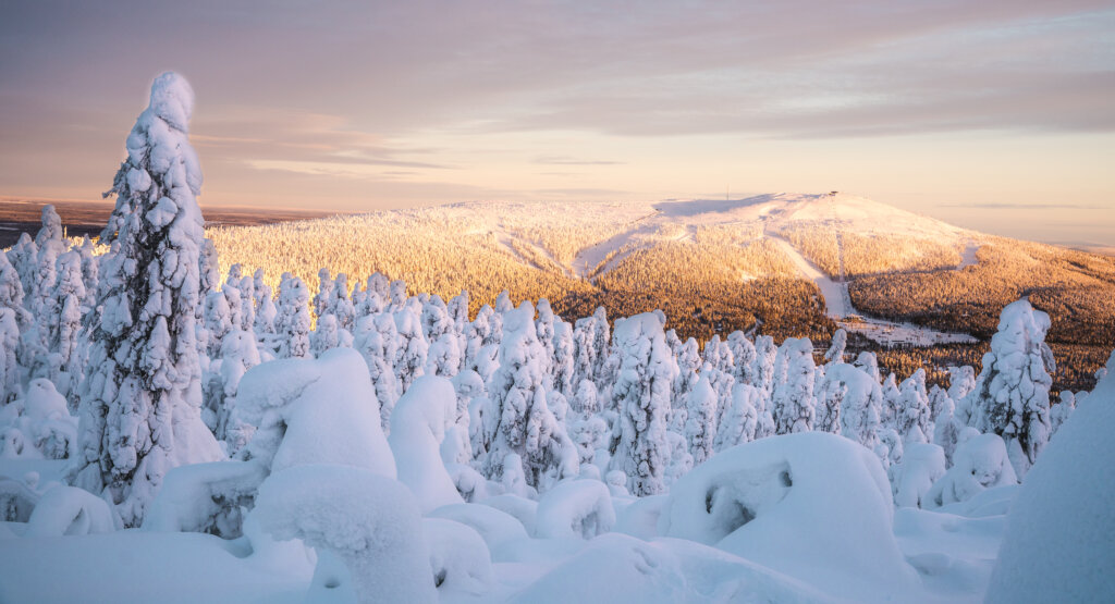 Winters landschap - Fins Lapland - Christoffel Travel