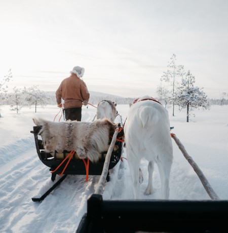 Pyha rendiersledetocht - Lapland - Finland - Christoffel Travel