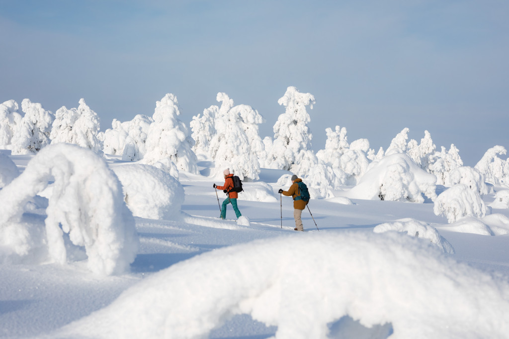 Pyha sneeuwschoenwandeling - Finland - Lapland - Christoffel Travel