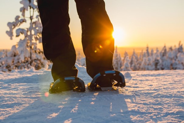 Sneeuwschoenwandeling Yllas - Lapland - Christoffel Travel