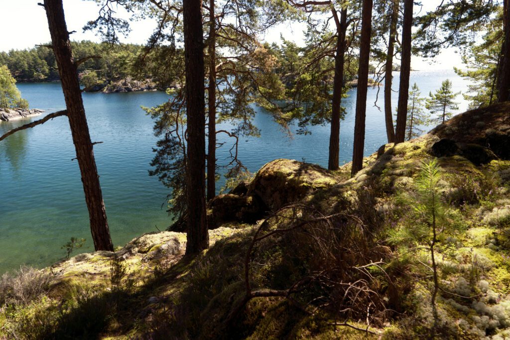 Tiveden National Park - Zweden - vakantie - Christoffel Travel