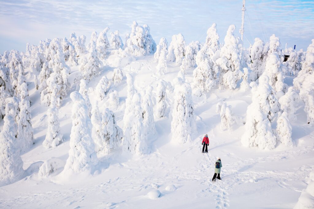 wandeling Fins Lapland - vakantie Lapland - Christoffel Travel