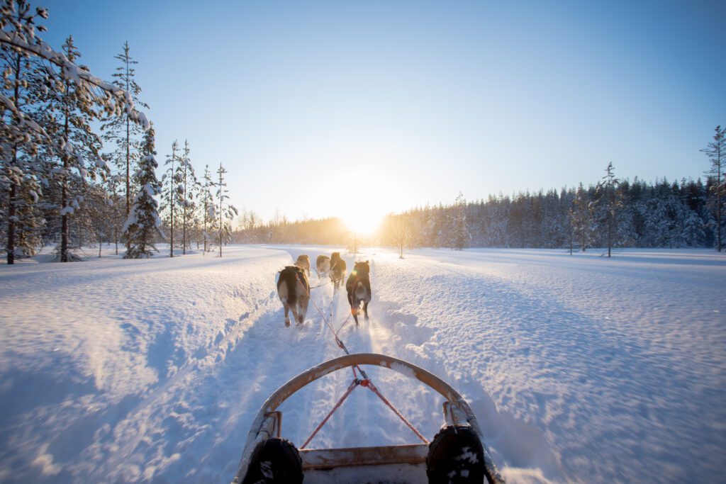 huskysafari Lapland - Christoffel Travel