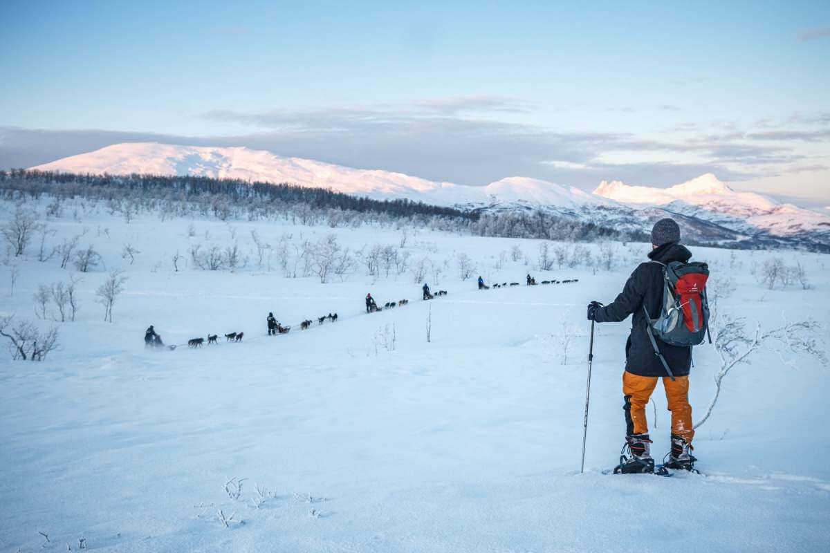 noorwegen-tromso-husky-sledetocht-sneeuwschoenwandeling