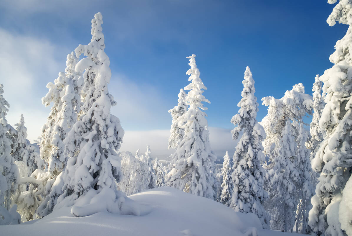 Nationaal Park Syöte - Finland - winter - Christoffel Travel