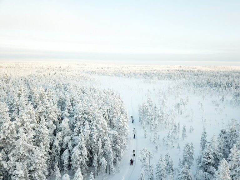 Unieke privé huskytocht - Zweeds Lapland - Christoffel Travel