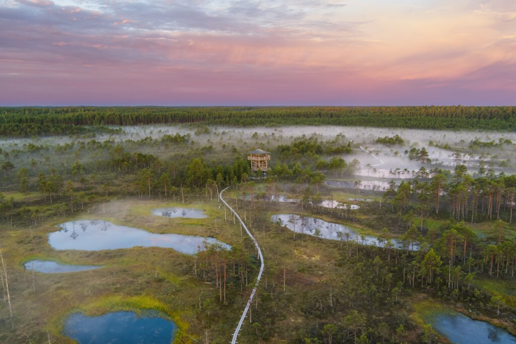 Lahemaa Nationaal Park - Estland - rondreis Baltische Staten - Christoffel Travel