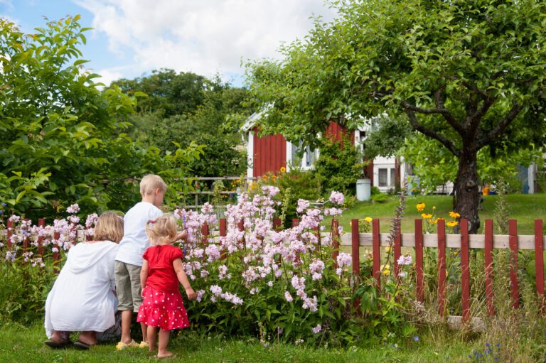 zomers Zweden - vakantie - kinderen - Christoffel Travel