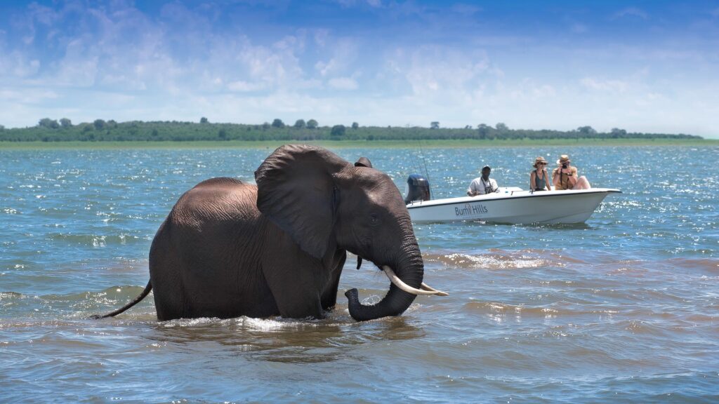 Bumi Hills Safari Lodge aan Lake Kariba – panoramisch uitzicht met Christoffel Travel
