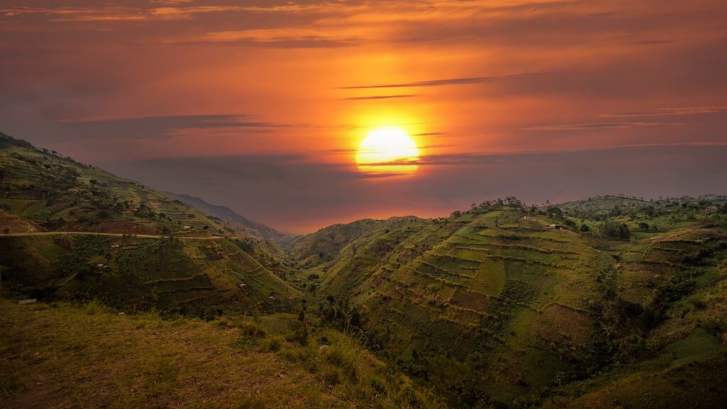 Panorama van het weelderige groen rond Bwindi National Park aan de grens van Rwanda en Oeganda – het leefgebied van berggorilla’s