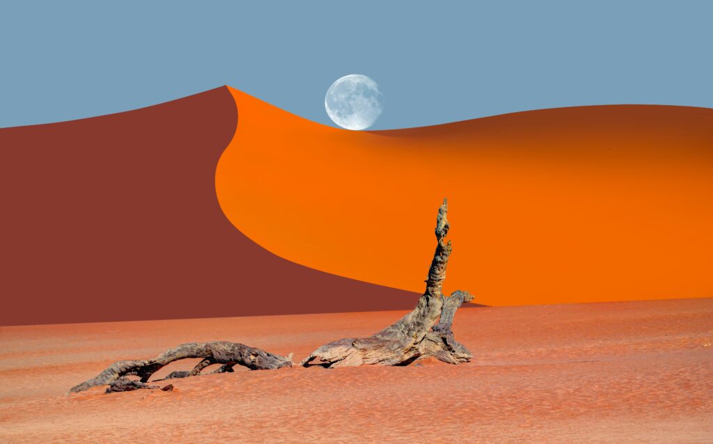 Dode bomen onder de volle maan in Dead Vlei, Namibië – magisch woestijnlandschap met Christoffel Travel