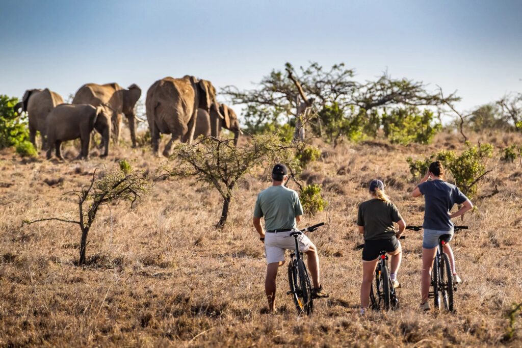 Avontuurlijke fietssafari in Kenia met zicht op wilde olifanten in de verte – unieke safari-ervaring met Christoffel Travel