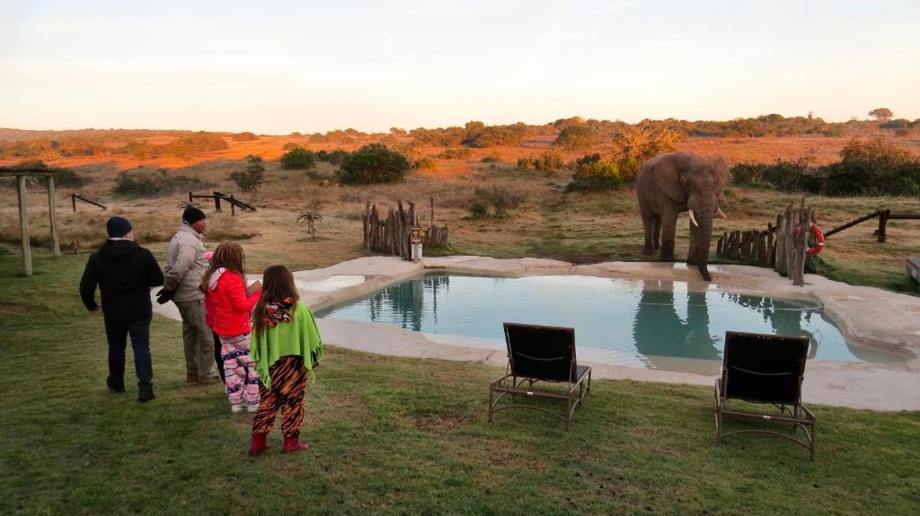 Hlosi Game Lodge in Amakhala – stijlvolle safari-ervaring voor gezinnen, verzorgd door Christoffel Travel.