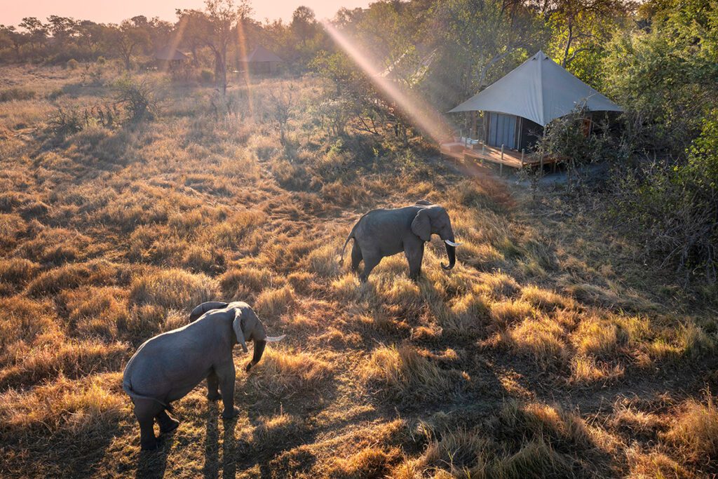 Khwai Lediba Camp aan de rivier, met stijlvolle tenten en uitzicht op drinkplaatsen van wild in Botswana.