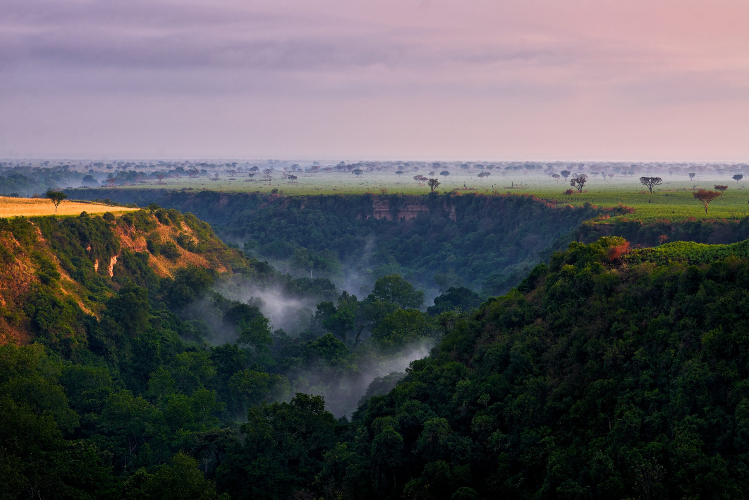 Kyambura Gorge in Oeganda bij zonsopgang – mistige savannevallei in Queen Elizabeth NP, een verborgen parel met Christoffel Travel