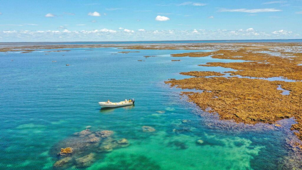 Luxe strandlodge Manda Bay op het eiland Lamu, met palmbomen, wit zand en uitzicht op de Indische Oceaan – ontspannen afsluiting van je Kenia-reis met Christoffel Travel