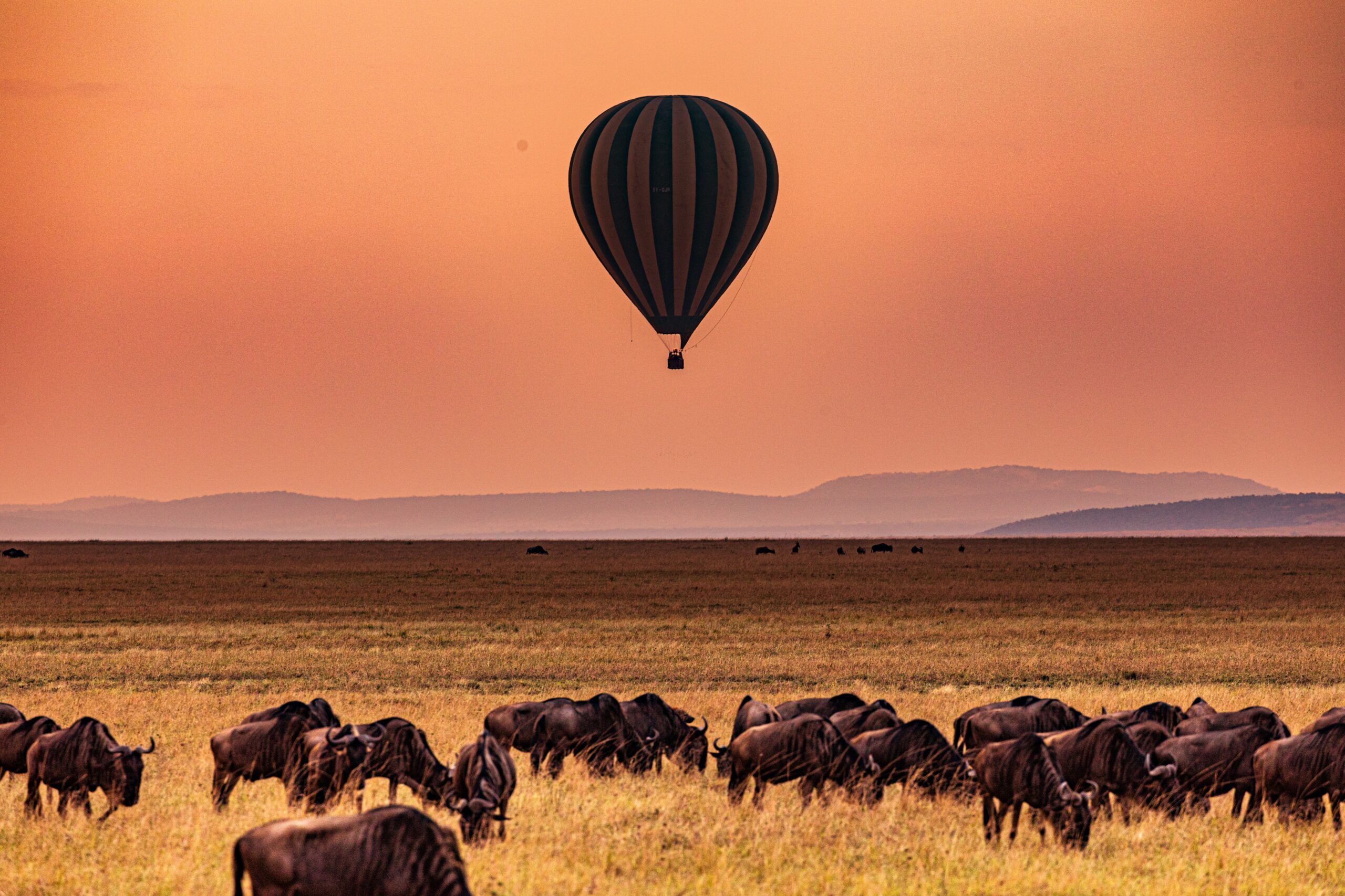 Luchtballon bij zonsopgang boven de savanne van de Masai Mara met uitzicht op grazende wilde dieren – beleef deze ervaring met Christoffel Travel