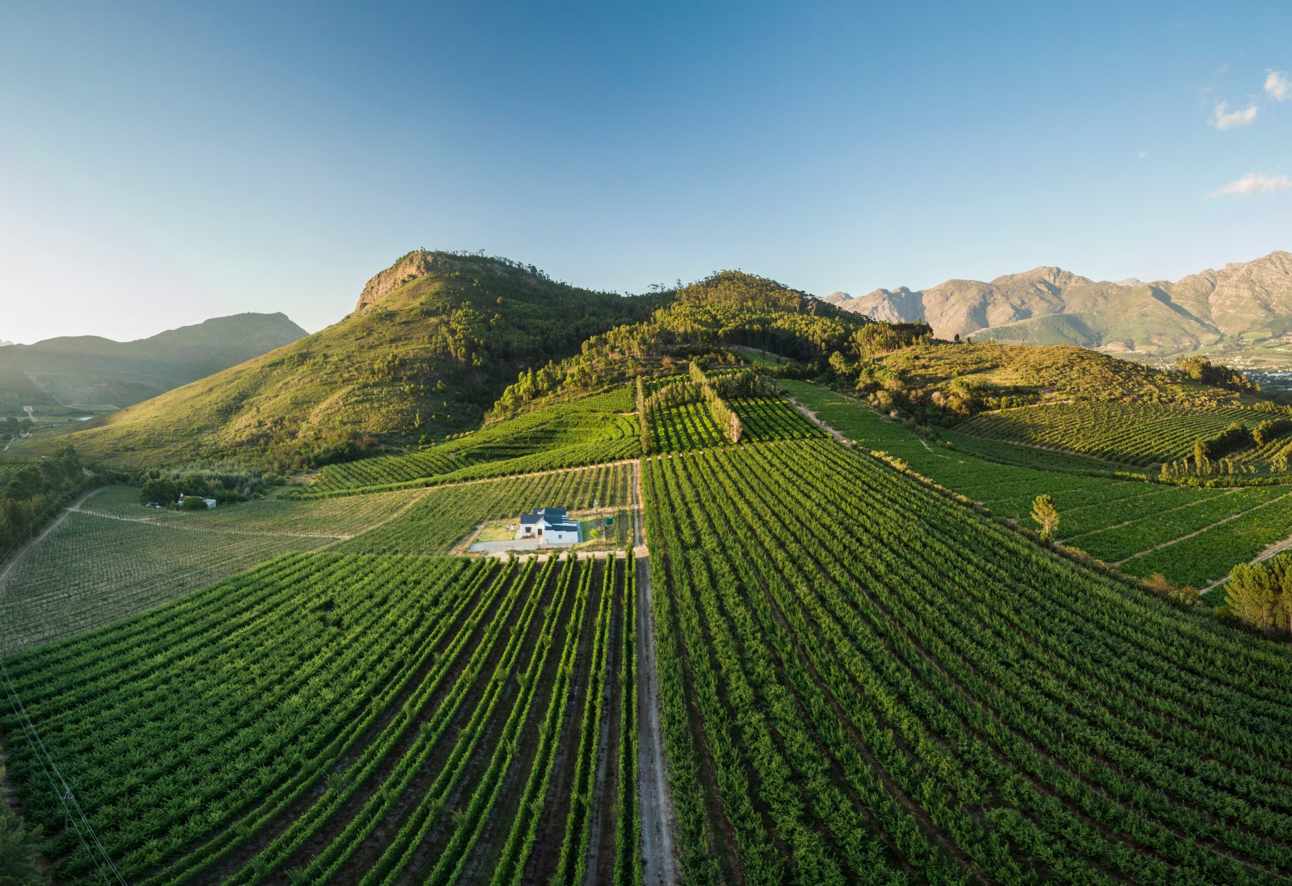 Luchtfoto van uitgestrekte wijnranken nabij Franschhoek in de West-Kaap van Zuid-Afrika – een adembenemend uitzicht tijdens je wijnreis met Christoffel Travel.