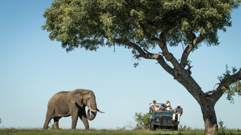Luxe rondreis Zuid Afrika met Christoffel Travel