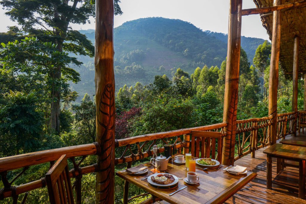 Luxe verblijf in Mahogany Springs Lodge aan de rand van het regenwoud van Bwindi, Oeganda – gorillatrekking met Christoffel Travel