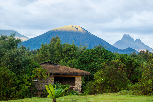 Lodge in Volcanoes National Park met uitzicht op de Virunga-vulkanen in Rwanda – authentiek verblijf met Christoffel Travel