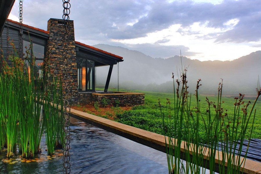 Nyungwe Forest Lodge met uitzicht op mistige heuvels en theevelden – unieke lodge in het hart van Rwanda’s regenwoud met Christoffel Travel