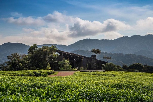Nyungwe House: luxe lodge van One&Only in het tropisch woud van Rwanda – Christoffel Travel