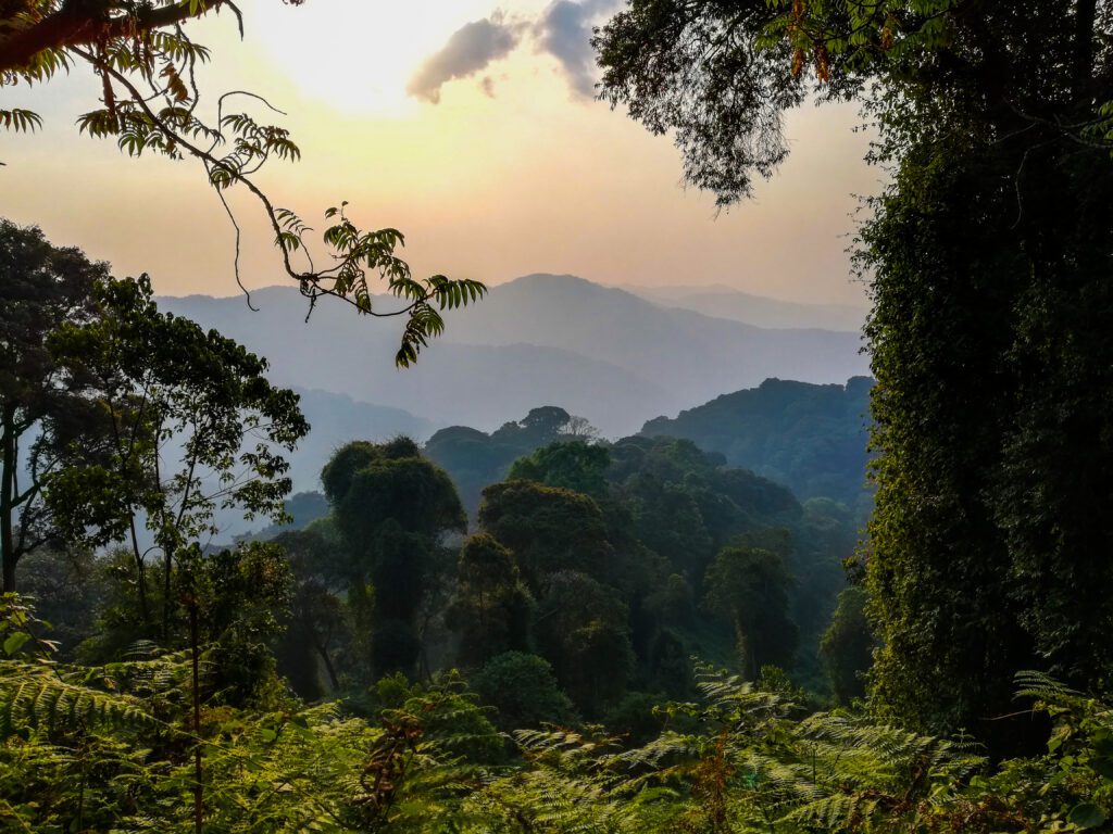 Uitzicht over de heuvels en jungle van Nyungwe National Park in Rwanda – adembenemend landschap ervaren met Christoffel Travel