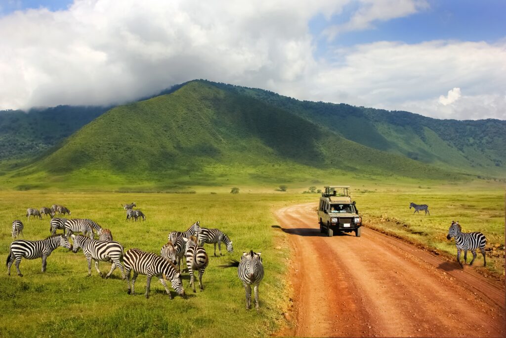 Zebra’s in het Ngorongoro Krater National Park, Tanzania – safari tussen bergen en wolken met Christoffel Travel