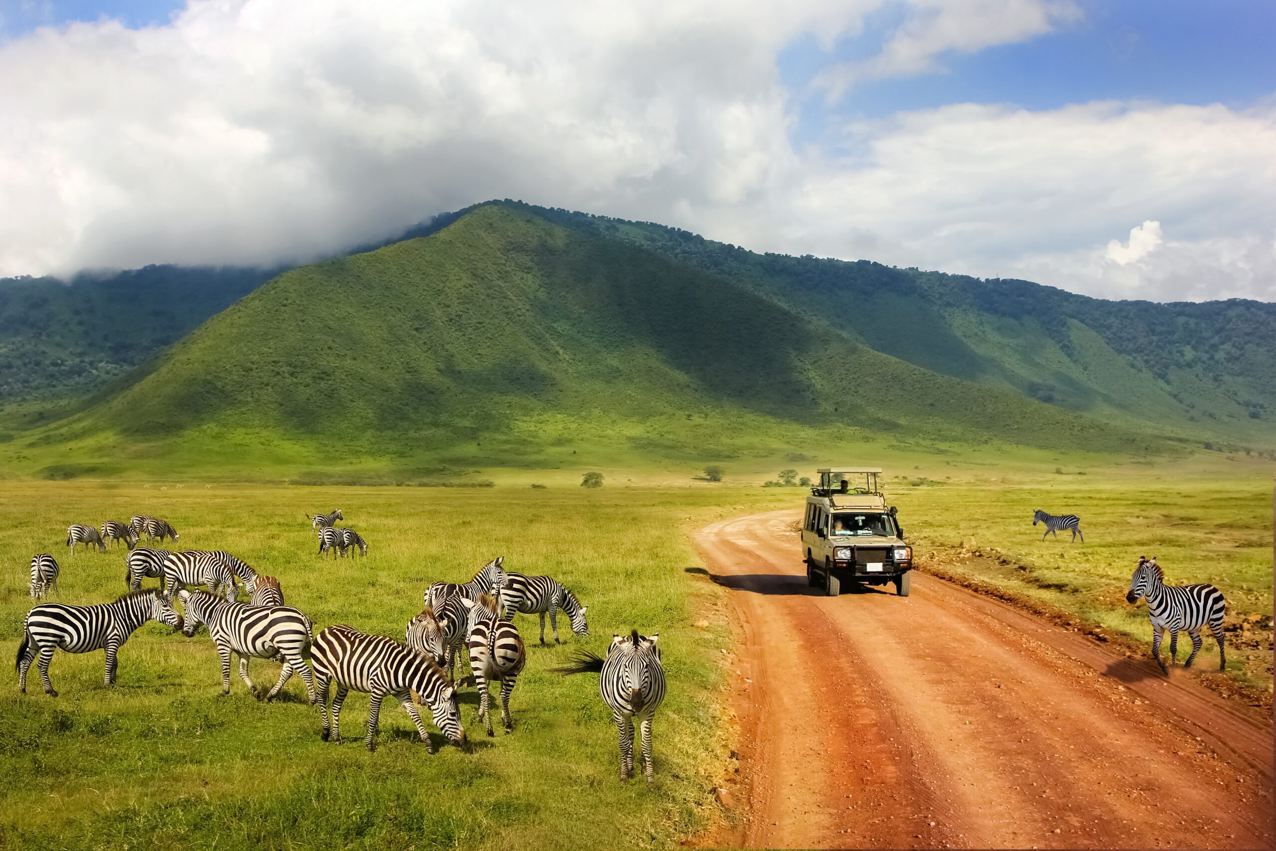 Zebra’s in het Ngorongoro Krater National Park, Tanzania – safari tussen bergen en wolken met Christoffel Travel
