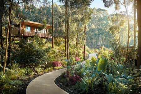 One&Only Gorilla’s Nest: luxe junglelodge met spa en privé-suites nabij Volcanoes NP – Christoffel Travel