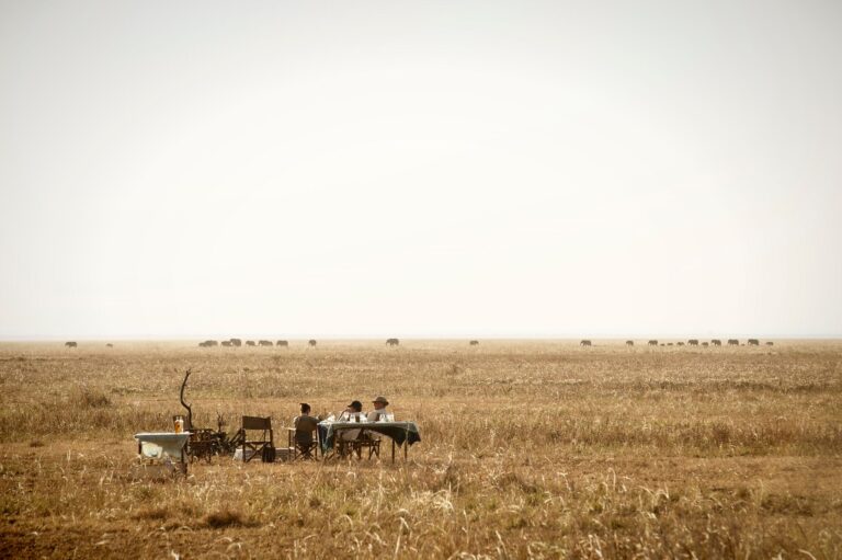Ontbijt in de bush van Katavi National Park met uitzicht op olifanten – exclusieve safaribeleving met Christoffel Travel