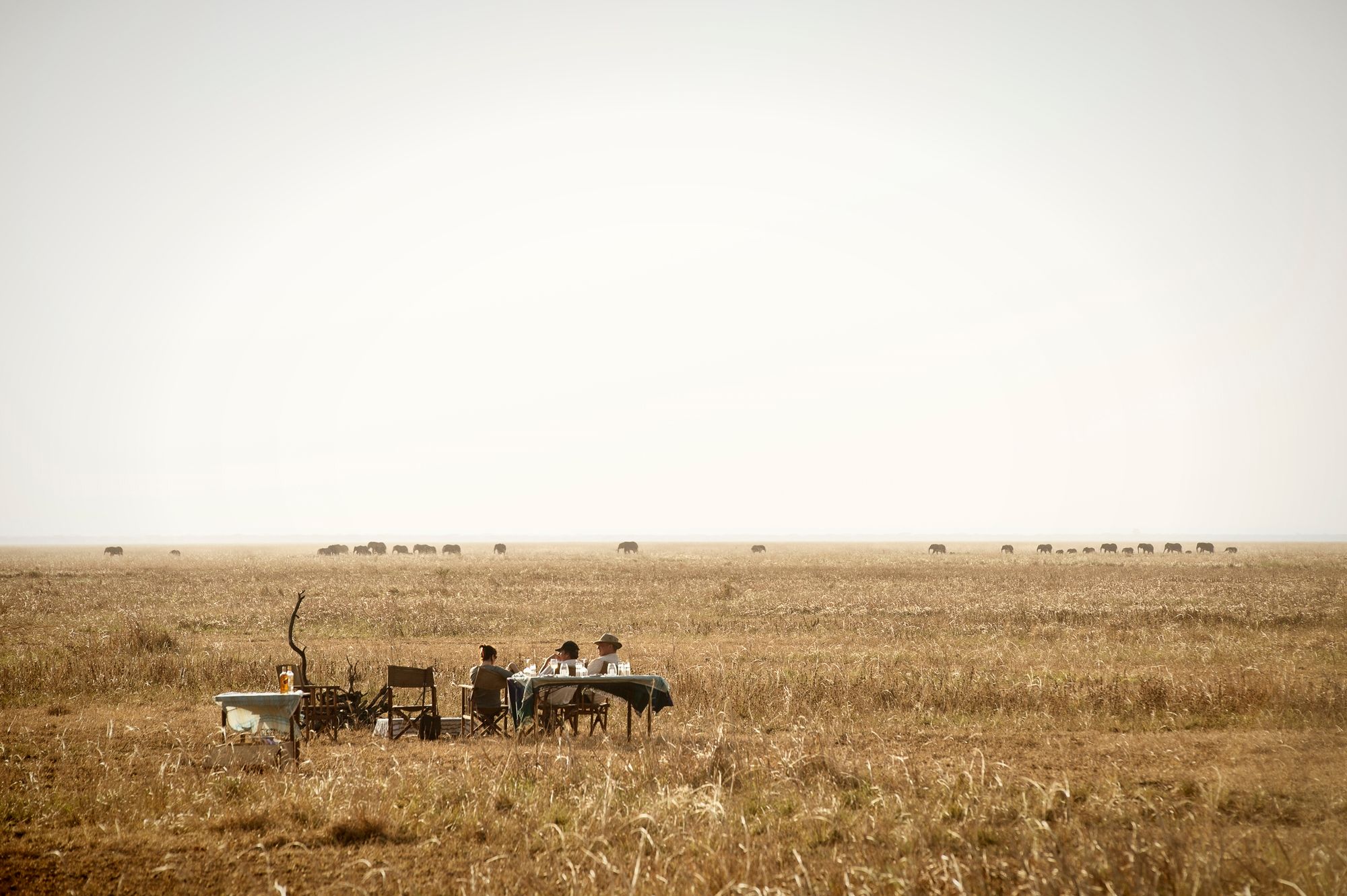 Ontbijt in de bush van Katavi National Park met uitzicht op olifanten – exclusieve safaribeleving met Christoffel Travel