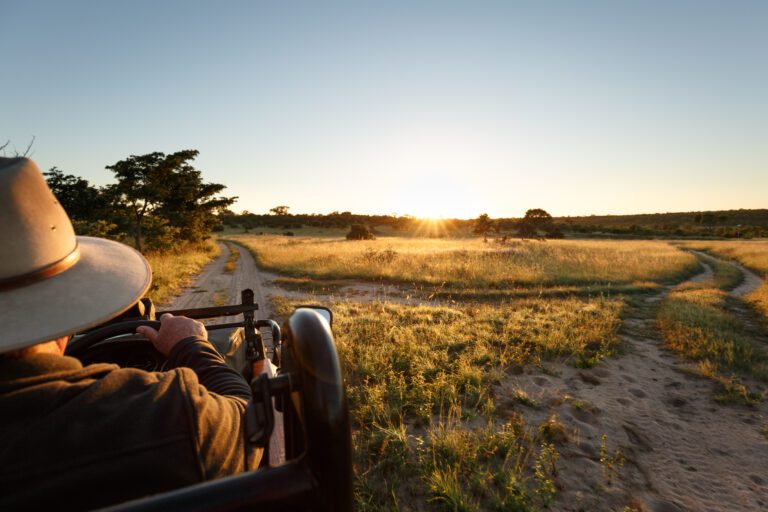 Uitzicht vanuit een open safariwagen in het Sabi Sands Game Reserve, Zuid-Afrika – op avontuur met Christoffel Travel.