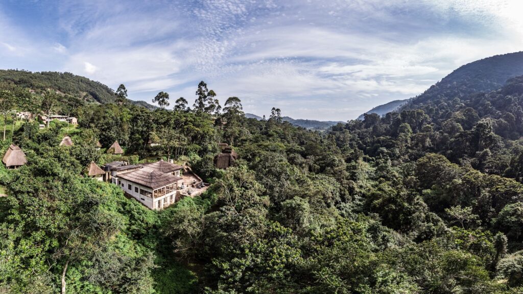 Volcanoes Bwindi Safari Lodge met uitzicht op het regenwoud van Bwindi – sfeervolle lodge voor gorillatrekking in Oeganda met Christoffel Travel