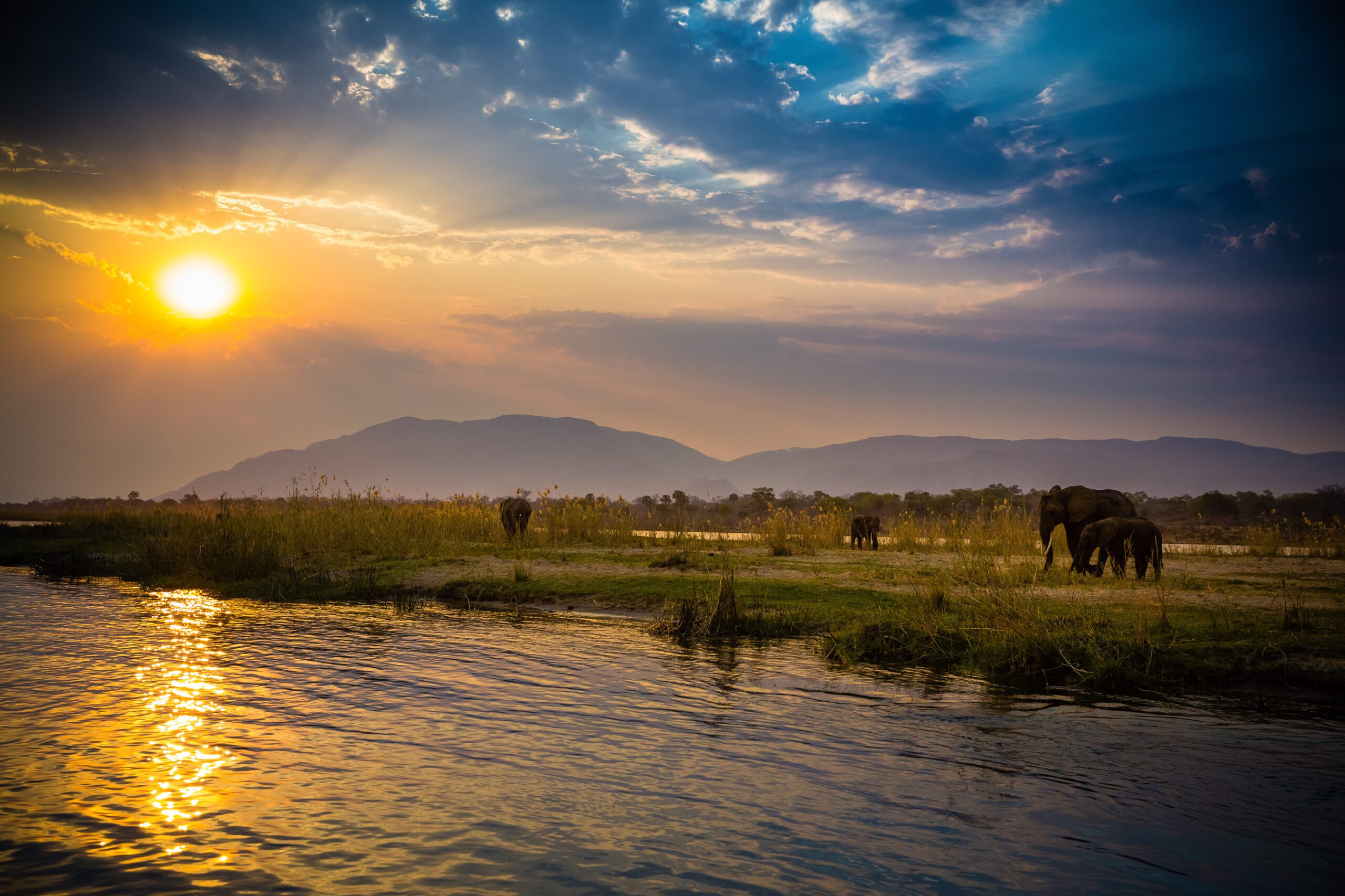 Groep olifanten aan de oever van de Zambezi-rivier in Zambia – pure natuur met Christoffel Travel
