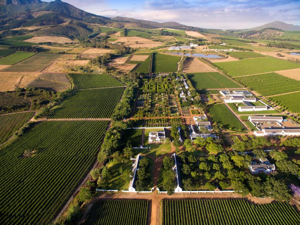 Historisch wijnlandgoed Babylonstoren in de Kaapse Wijnlanden met tuinen, wijngaarden en uitzicht op de bergen – Christoffel Travel.