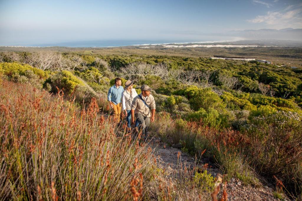 Grootbos Forest Lodge met panoramisch uitzicht op fynbos en oceaan, eco-luxe in Zuid-Afrika.