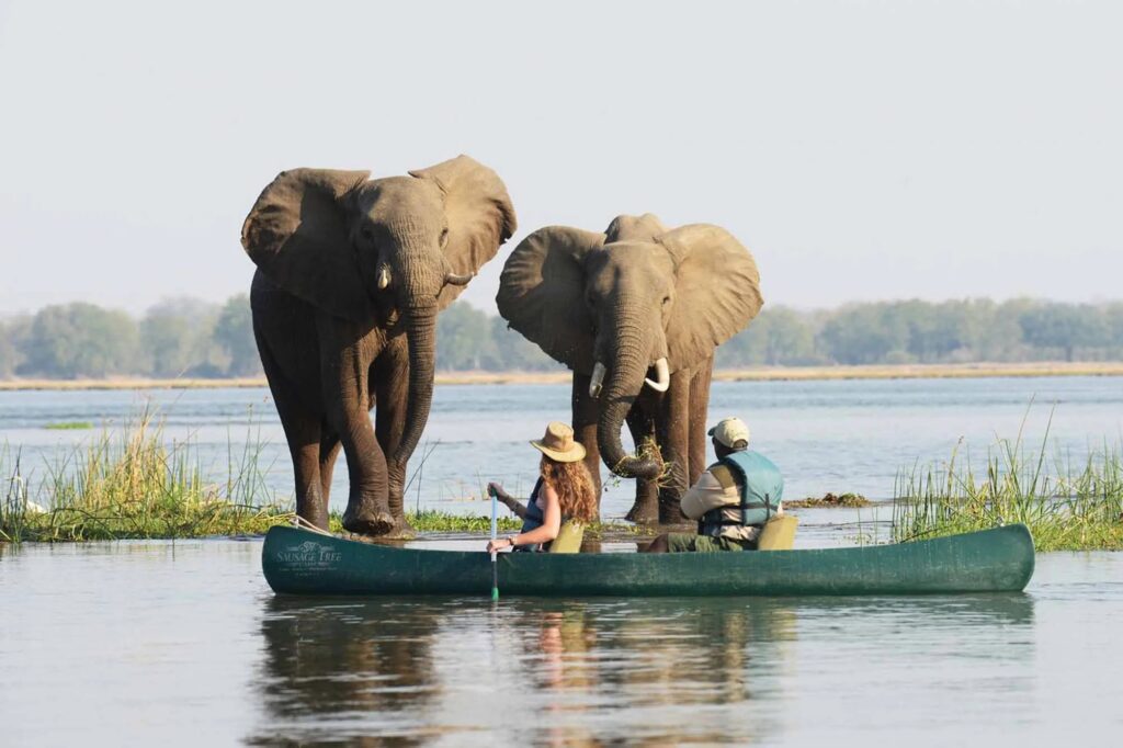 Kano­safari op de Zambezi-rivier in Zambia, begeleid door ervaren gidsen – Christoffel Travel