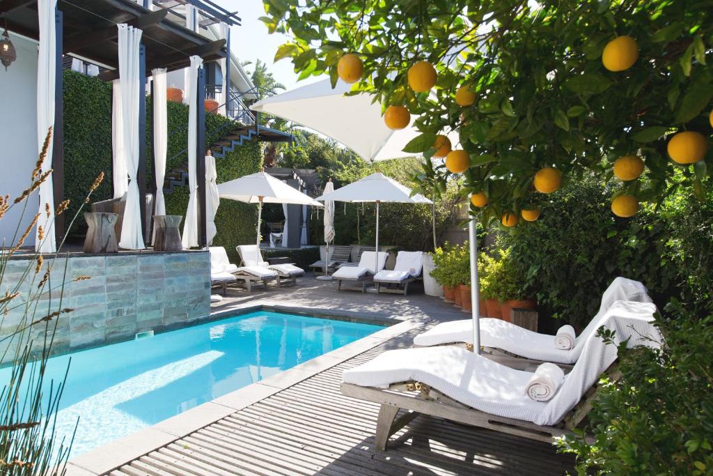 Luxe boetiekhotel Kensington Place in Kaapstad, aangeboden door Christoffel Travel. Gelegen in de rustige wijk Higgovale aan de voet van de Tafelberg, met stijlvolle kamers, zwembad en uitzicht over de stad.