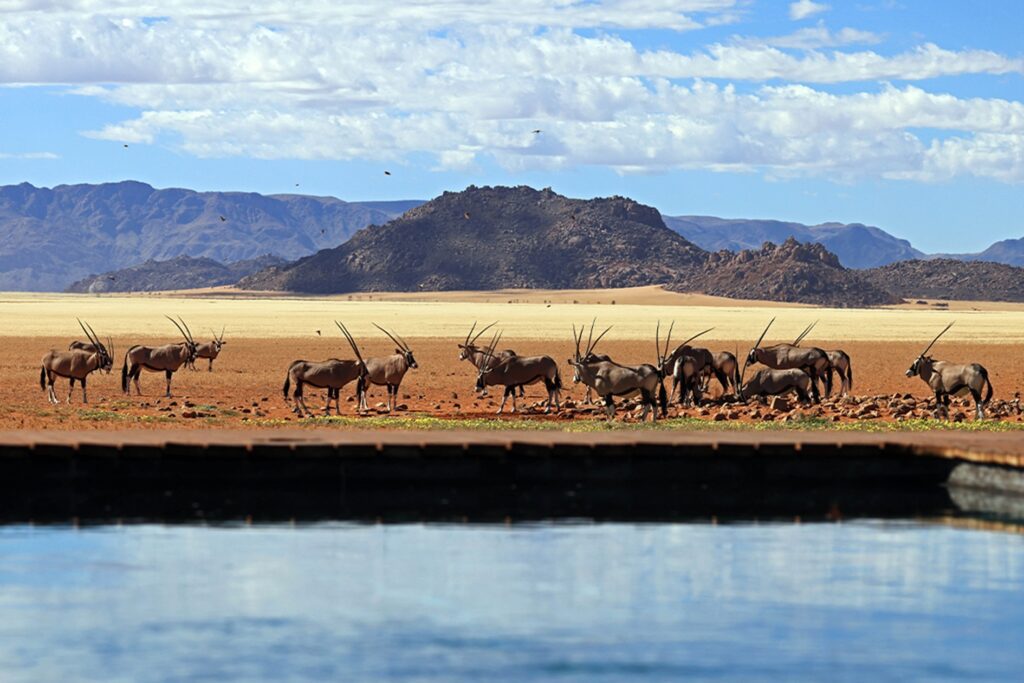 Kwessi Dunes Lodge in de NamibRand Nature Reserve, omringd door rode zandduinen en eindeloze woestijnlandschappen – Christoffel Travel.