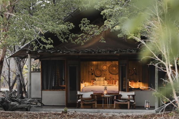 Little Makalolo Camp in Hwange National Park, omringd door ongerepte wildernis – Christoffel Travel.