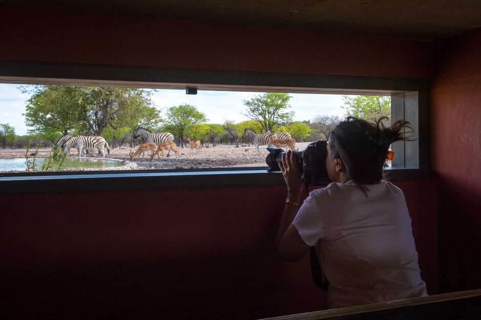 Anderssons at Ongava, exclusieve lodge aan de rand van Etosha National Park met uitzicht op een drukbezochte waterplaats – Christoffel Travel.