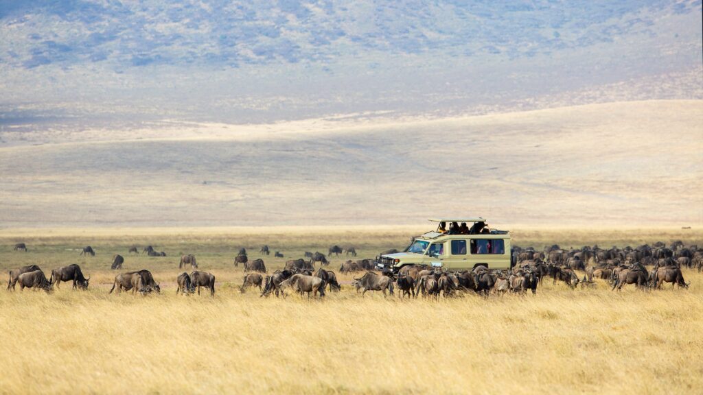 Safari in de Ngorongoro-krater met toeristen op gamedrive in open 4x4-voertuig – Christoffel Travel