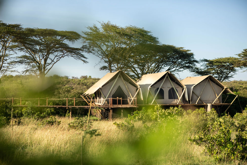 Mara Nyika Camp in Naboisho Conservancy, Kenia – intiem safarikamp verscholen tussen acaciabomen, aangeboden door Christoffel Travel