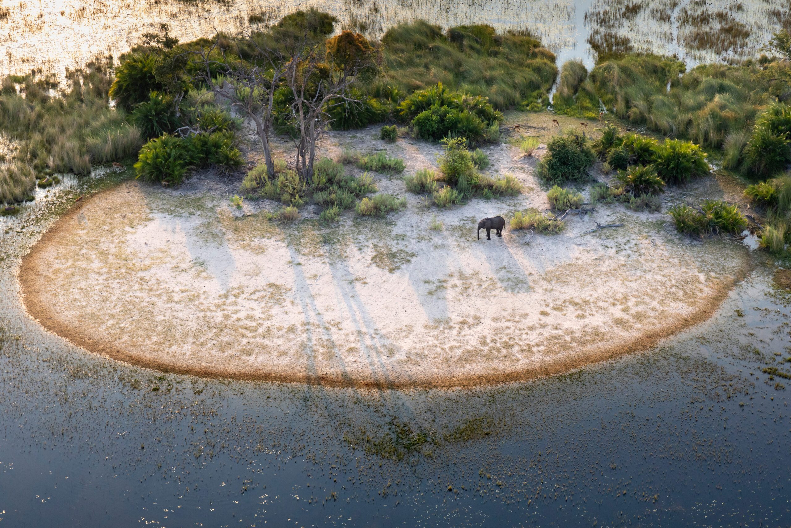 Luchtfoto van de Okavango Delta met olifant in het wild, Botswana – safari reis met Christoffel Travel